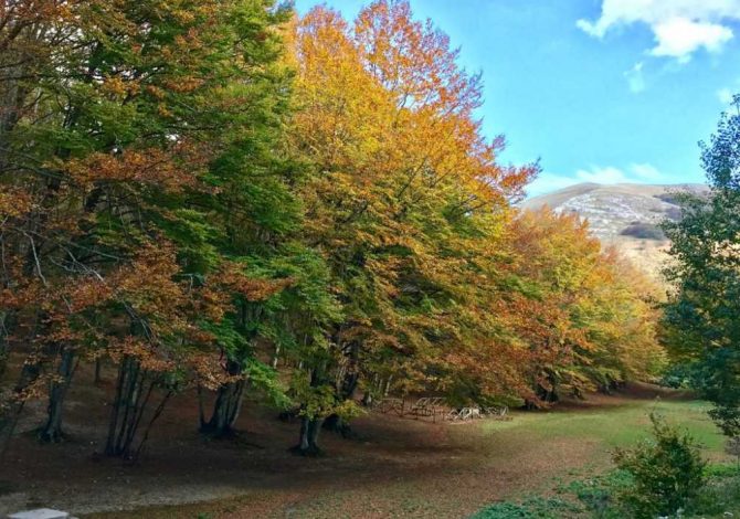 Faggete - Parco Regionale del Monte Cucco